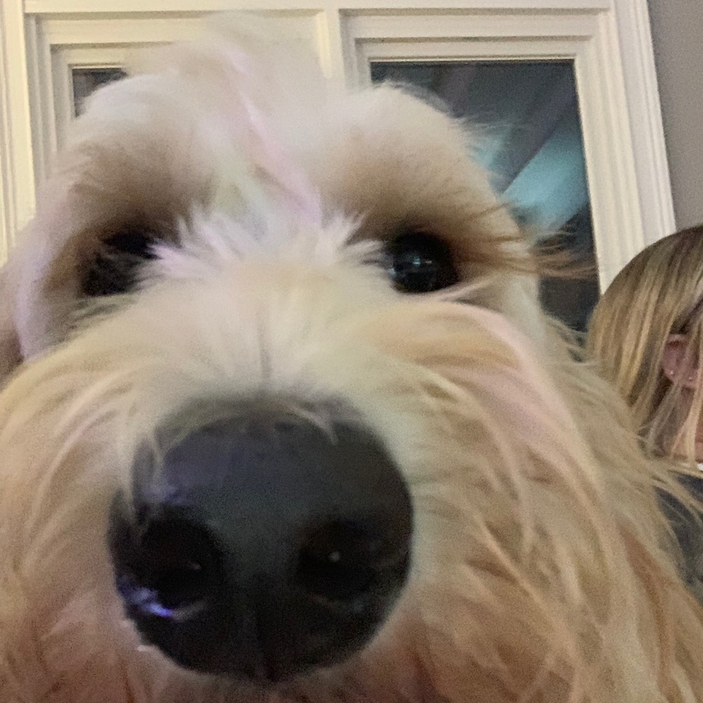 Meet your Posher, Megan